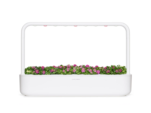 Змінний картридж Солодкий Аліссум (3 капсули) Click & Grow 7519