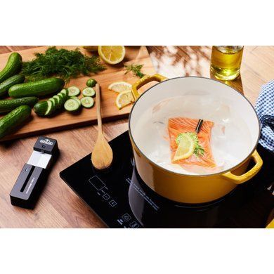 Бездротовий Bluetooth-термометр ACCU-PROBE PRO X Napoleon 70130