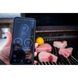 Газовый гриль Prestige P 500 Connected Napoleon P500VXRSIBPSS