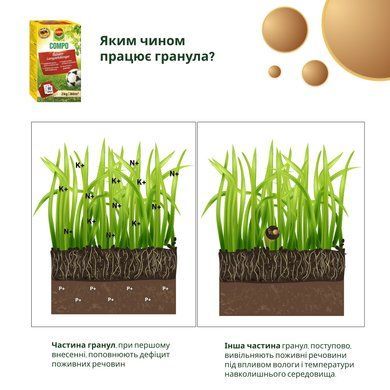Твердое удобрение для газонов 2 кг Compo 5283