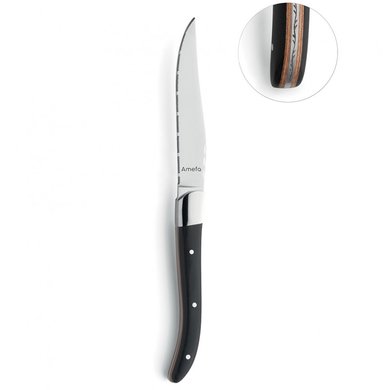 Набір ножів для стейку Amefa Royal Steak, 4шт. F2520MZWLL2BR4