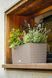 Балконное кашпо с автополивом Balconera Cottage 50 бежевый Lechuza 15446