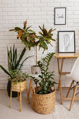 Спрей универсальный COMPLETE 500 мл Compo 6357