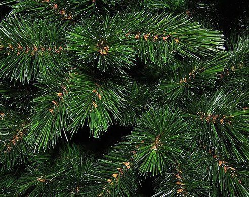 Искусственная сосна Forest 215 см с инеем