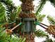 Искусственная сосна Forest 215 см с инеем