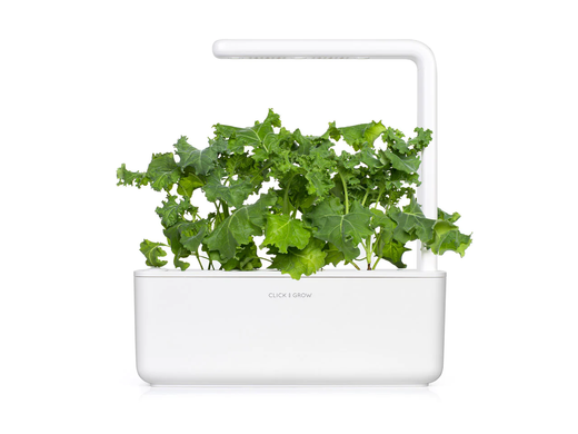 Змінний картридж Зелена капуста (3 капсули) Click & Grow 3207
