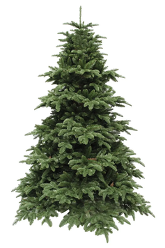 Ялина 2,15 м Abies Nordmann de Luxe зелена 8711473890204