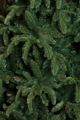 Ялина 2,15 м Abies Nordmann de Luxe зелена 8711473890204