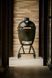 Вугільний гриль Big Green Egg ONYX Large для outdoor кухні та тераси
