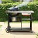 Гриль угольный Performer Premium 57 см Weber 1501966