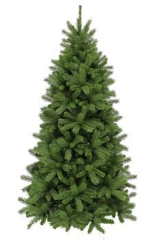 Штучна сосна Denberg 215 см 🌲 Преміум сосна TriumphTree (Нідерланди) &mdash; купити в Grill Market