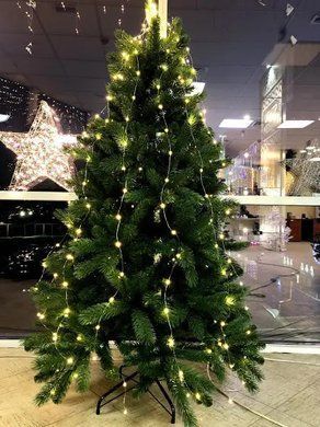 Штучна сосна Denberg 215 см 🌲 Преміум сосна TriumphTree (Нідерланди) &mdash; купити в Grill Market