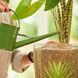 Субстрат BIO GRANUPLANT для комнатных растений 3 л Compo 8817