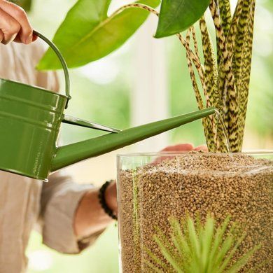 Субстрат BIO GRANUPLANT для комнатных растений 6 л Compo 8818