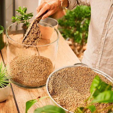 Субстрат BIO GRANUPLANT для комнатных растений 6 л Compo 8818