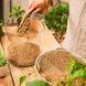 Субстрат BIO GRANUPLANT для комнатных растений 6 л Compo 8818