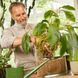 Субстрат BIO GRANUPLANT для комнатных растений 6 л Compo 8818