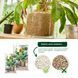 Субстрат BIO GRANUPLANT для комнатных растений 6 л Compo 8818