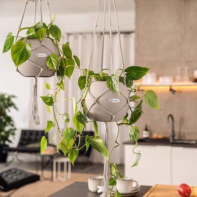 Подвес для кашпо Macram&eacute; BOHO 120 см, белый Lechuza 13897