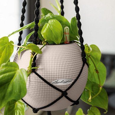 Підвіс для кашпо Macram&eacute; BOHO 120 см, чорне Lechuza 13899