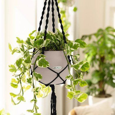 Підвіс для кашпо Macram&eacute; BOHO 120 см, чорне Lechuza 13899