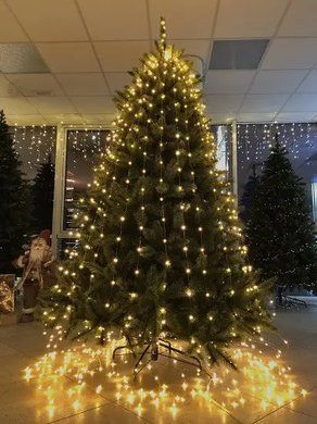 Штучна сосна Forest Frosted 260 см з інеєм | TriumphTree