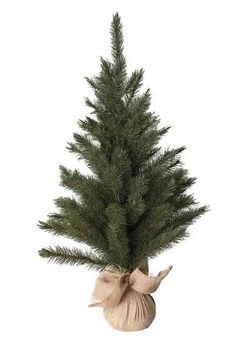 Штучна сосна Forest Frosted 60 см з інеєм | TriumphTree