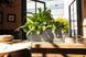 Балконное кашпо с автополивом Balconera Stone 50 серый камень Lechuza 15650