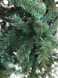 Ель 1,85 м. Forrester зеленая 8718861444537