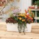 Балконное кашпо с автополивом Balconera Stone 50 кварцевый белый Lechuza 15657