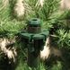 Штучна сосна Denberg 185 см | TriumphTree