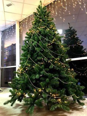 🎄 Штучна ялина Scandia 230 см