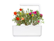 Змінний картридж Портулак (3 капсули) Click & Grow 7434-1