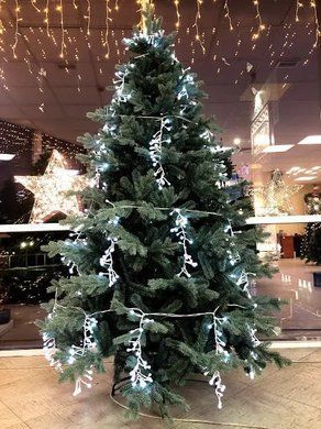 Штучна ялина Sherwood de Luxe 185 см блакитна 🎄 Преміум якість Triumph Tree | Купити в Grill Market
