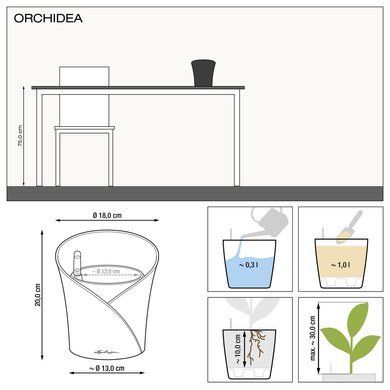 Кашпо с автополивом ORCHIDEA белый матовый Lechuza 13960