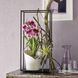 Кашпо с автополивом ORCHIDEA белый матовый Lechuza 13960
