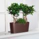 Кашпо с автополивом Delta Premium 20 белый глянцевый Lechuza 15560