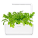 Змінний картридж Гірчиця листова (3 капсули) Click & Grow 7502
